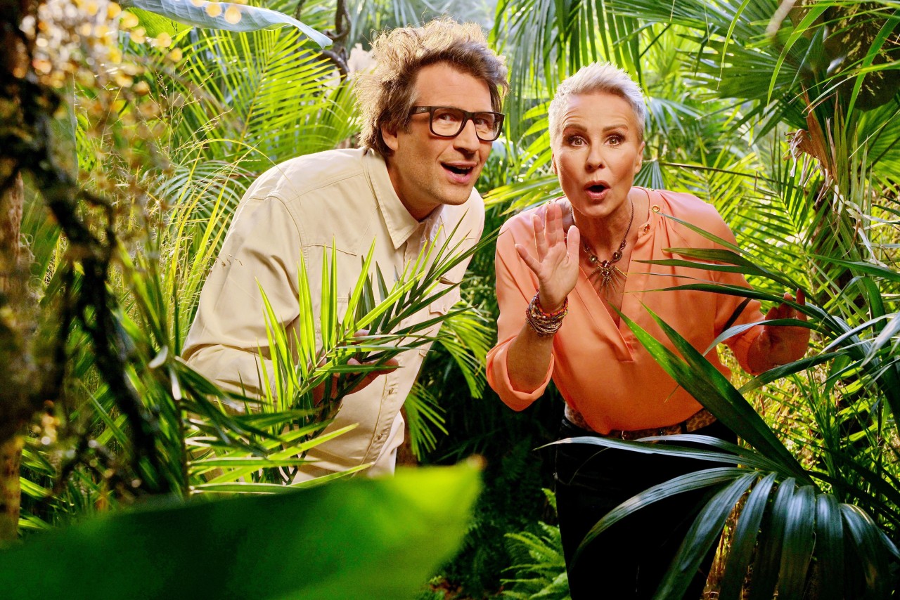 Das „Dschungelcamp“ wird seit 2013 von Daniel Hartwich und Sonja Zietlow moderiert.