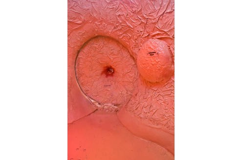 Dieses Organ hat jeder Mensch schon von innen gesehen.

© www.organmodelle.de