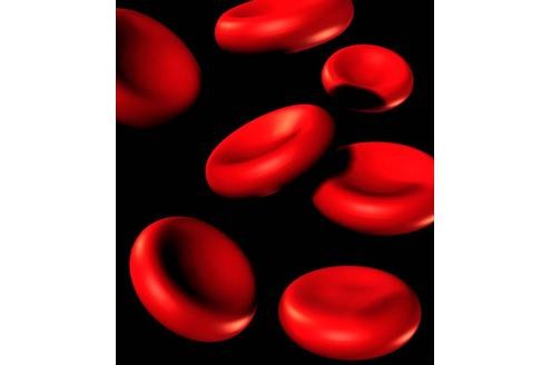Damit der Körper den roten Blutfarbstoff Hämoglobin herstellen kann, benötigt er Eisen. (Foto: imago)