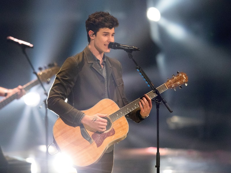 Auch zur Musik von Shawn Mendes liefen die Kandidatinnen über den Catwalk.