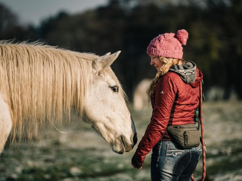 Bedachtes Kennenlernen: Reiter und Pferd finden in Schönermark immer auf der Weide zueinander.