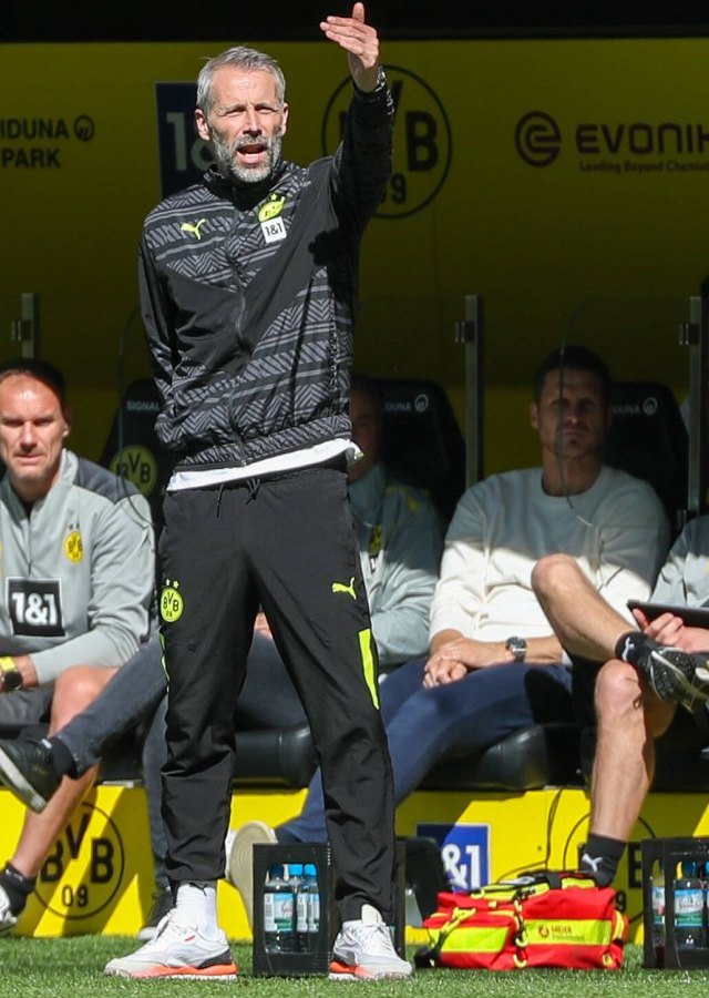 Borussia-Dortmund-Rose
