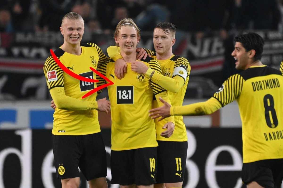 Borussia Dortmund Trikot neu