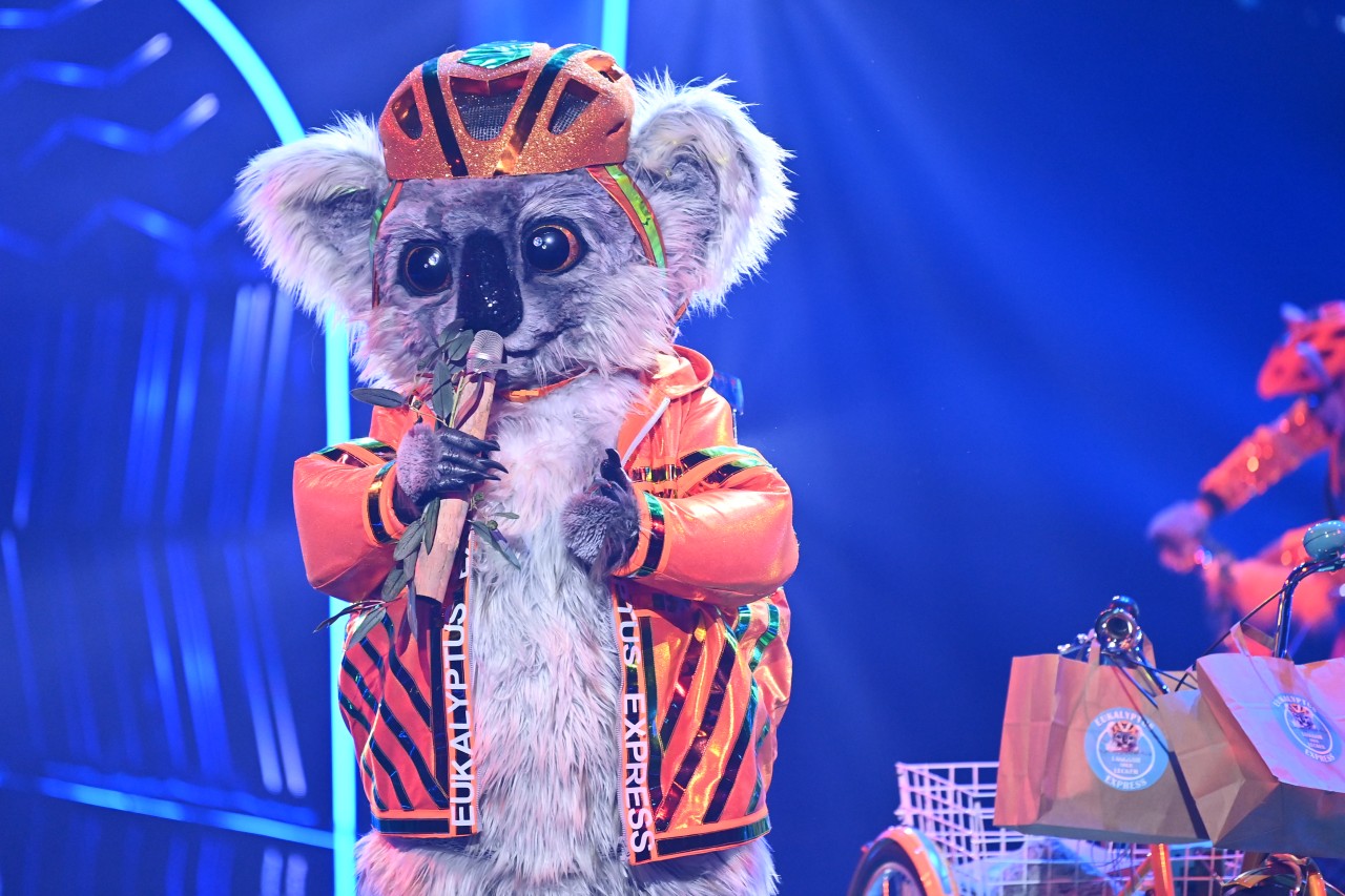 Der Koala performte bei The Masked Singer den A-HA-Klassiker „Take on me“.