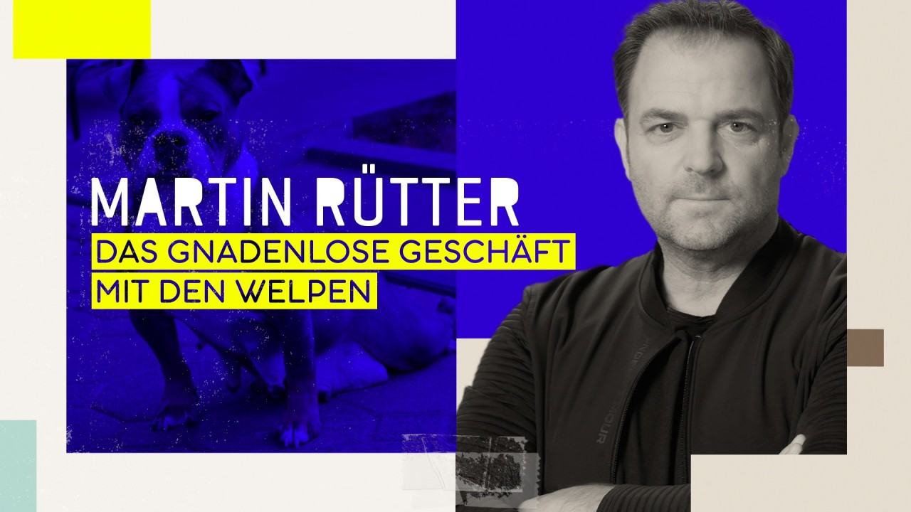 Martin Rütter erfährt in einem Interview eine schreckliche Geschichte.