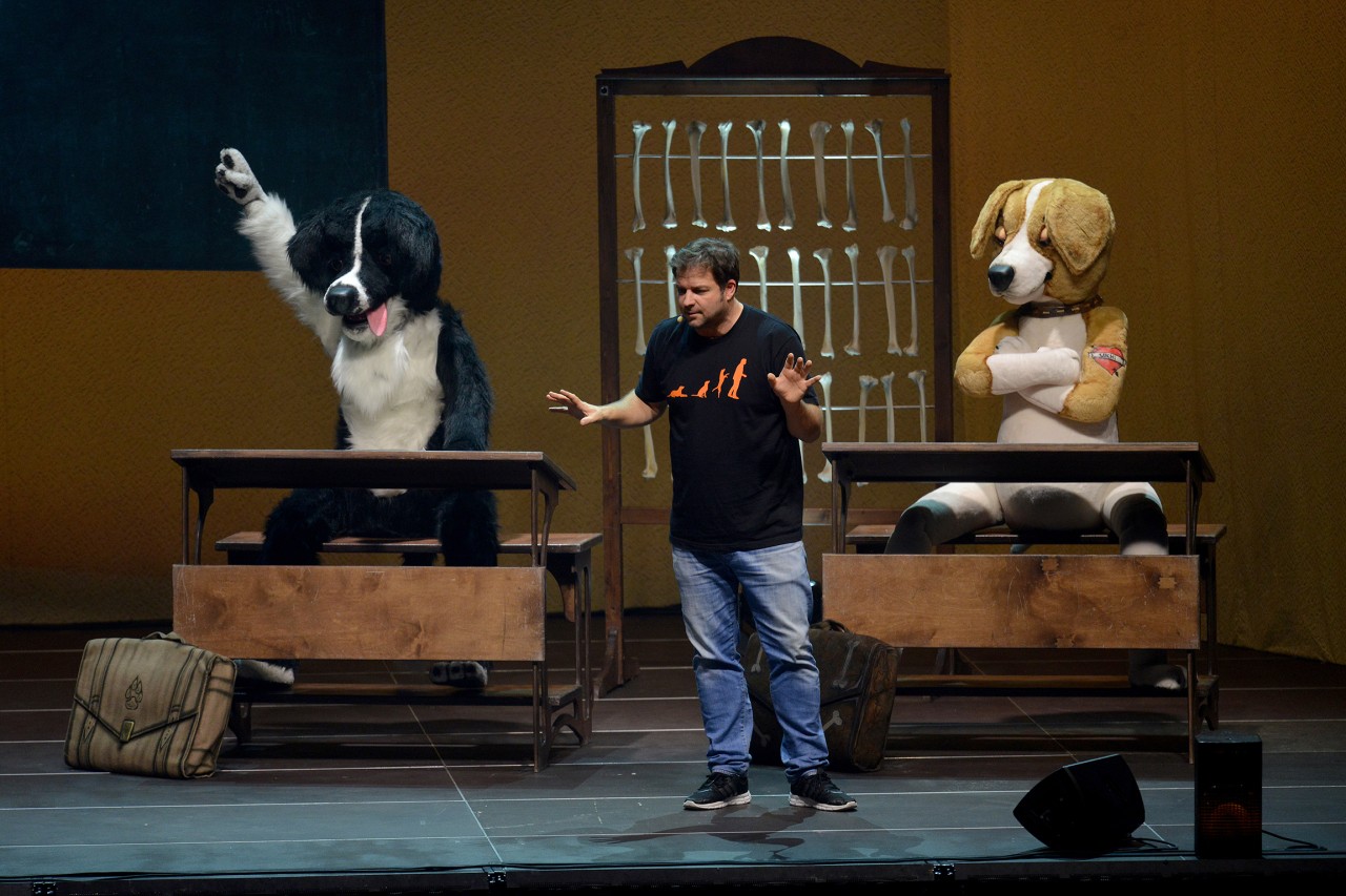 Martin Rütter bei seiner Live-Hunde-Show. (Archivbild)