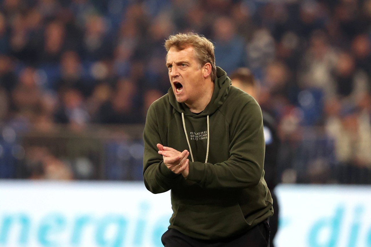 Beim FC Schalke 04 dreht ein Kicker richtig auf. Büskens bleibt kühl