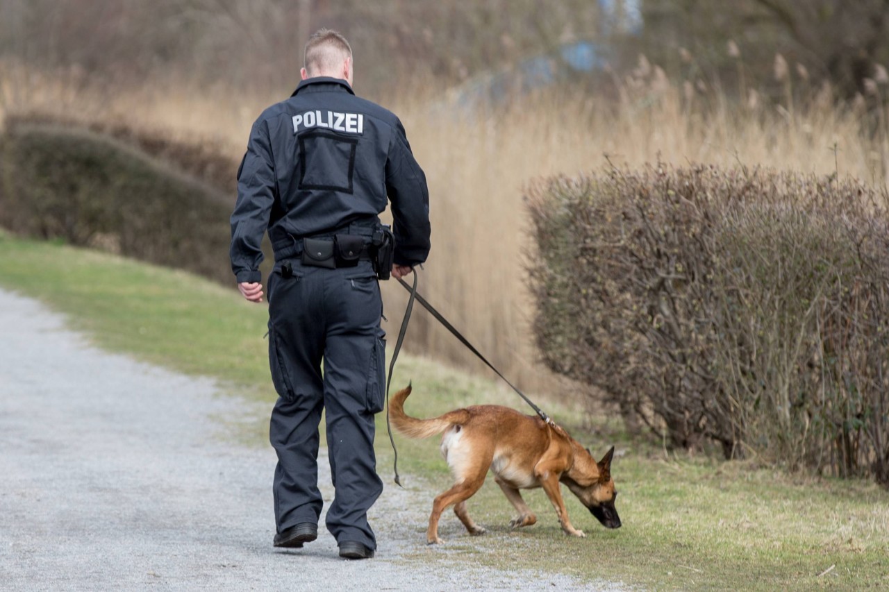 Hund in NRW: Für die Vierbeiner der Polizei wurde ein Erste-Hilfe-Set entwickelt. (Symbolbild)