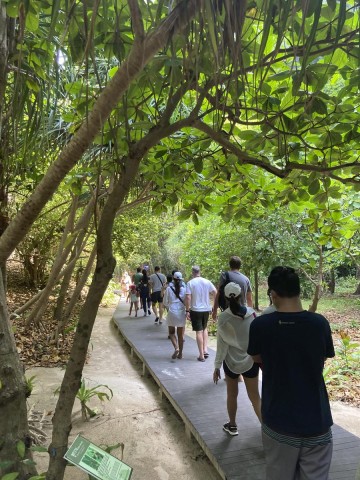 Touristen laufen über einen Holzsteg vom Anleger zur Maya Bay. Die Regeln für einen Besuch des Traumstrandes im Süden Thailands sind streng.