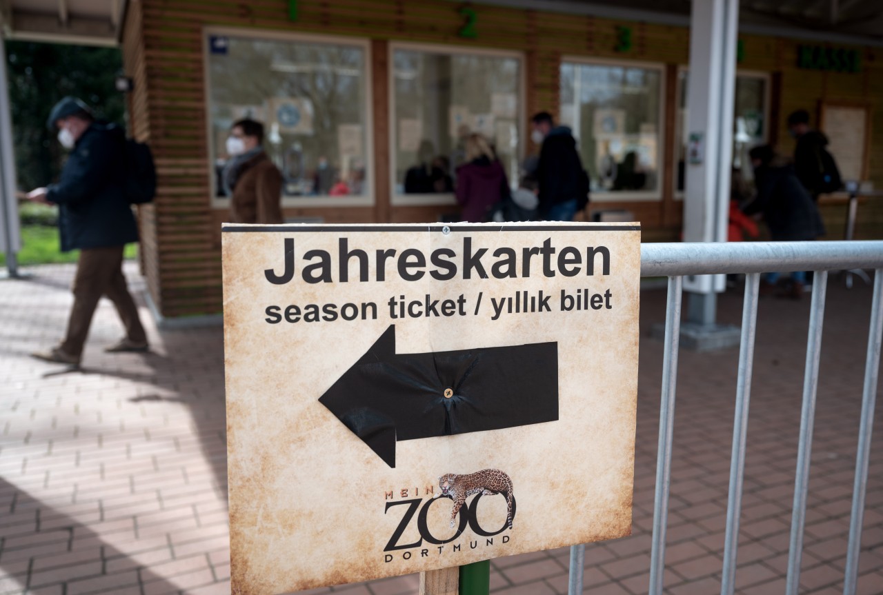 Der Zoo Dortmund hat für den Artenschutz mehrere Tiere ausgewildert. Die Pfleger haben jedoch eine schlimme Befürchtung. (Archivbild)