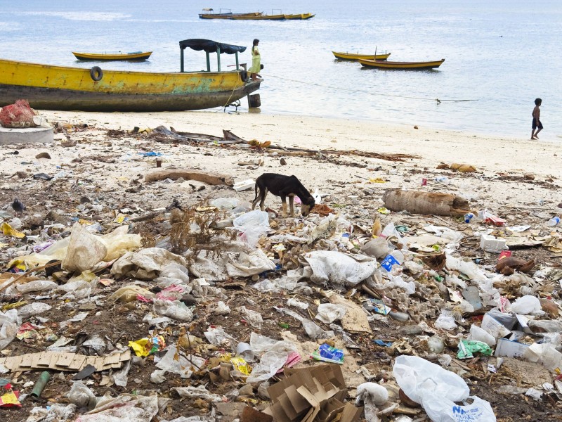 An diesem Strand in Indien sucht ein Hund in Abällen nach Fressbarem.