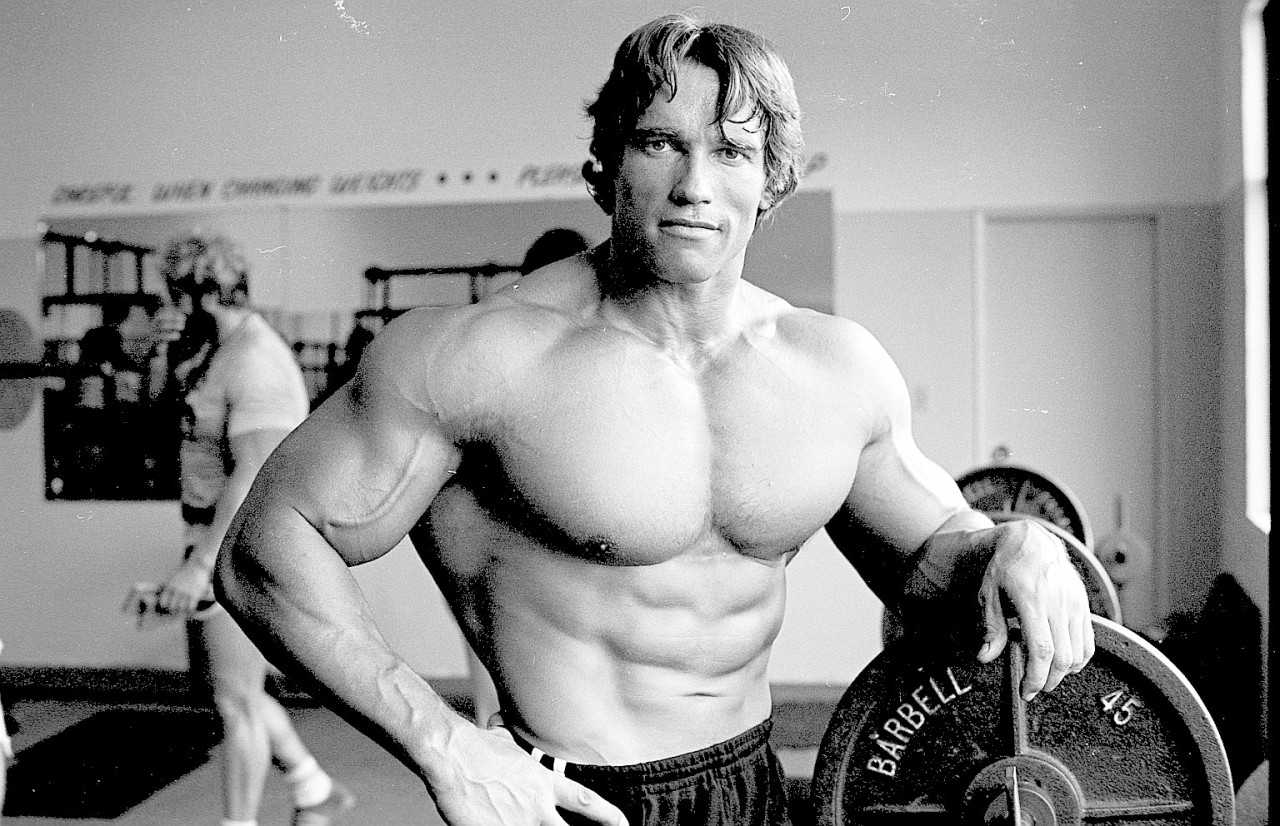 Karrierestart in den USA: Schwarzenegger kam 1968 als Bodybuilder nach Amerika. Später wurde er Immobilienhändler, Schauspieler und Politiker. 