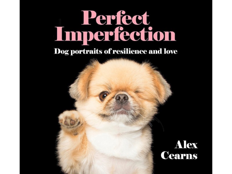 Auch einen Bildband namens „Perfect Imperfection“ gibt es. Er kostet 19,99 Euro.