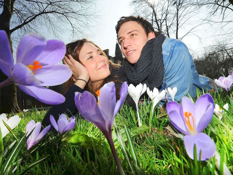 ... in Oberhausen. Zwischen Krokussen genießen Frischverliebte den ersten wirklich schönen Frühlingstag. Familien...