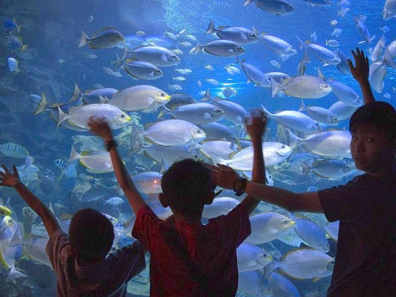 Kinder vor der Aquarium im Zoo von Kuala Lumpur.