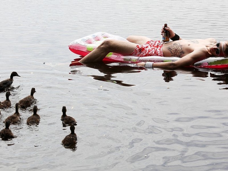 Feierabend: Begleitet von jungen Enten lässt sich ein junger Mann bei sommerlichen Temperaturen auf einer Luftmatratze auf der Außenalster in Hamburg treiben.
