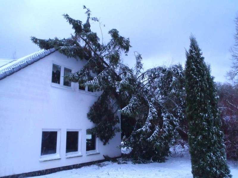 Der Orkan Xaver hat nicht nur in Norddeutschland kräftig gewütet. Auch in NRW wurden Bäume entwurzelt. In Petersborn bei Brilon, zum Beispiel, fegte Xaver eine 20 Meter hohe Fichte auf ein Haus...
