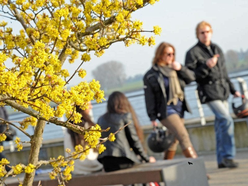 Frühling, Sonne, nichts wie raus! Das war für viele Menschen in NRW das Motto fürs Wochenende. Die einen genossen das Wetter auf der Rheinpromenade in Emmerich,...