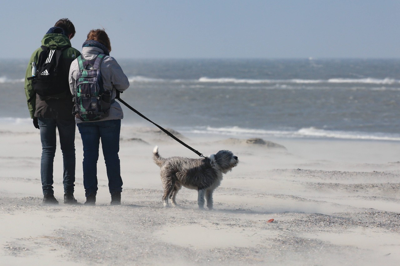 Urlaub an der Nordsee ist nach wie vor beliebt! Doch mancherorts könnte es ein Problem geben. (Symbolbild)