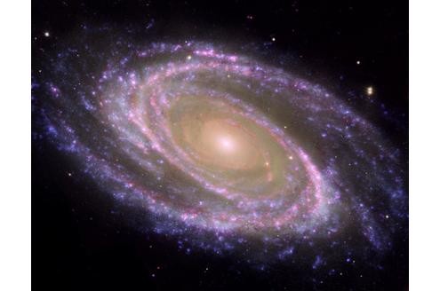 Eine spiralförmige Galaxie, die unserer Milchstraße ähnelt.
Bild: Nasa