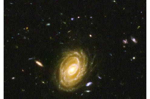 Erst 800 Millionen Jahre alt und schon so groß - das ist eher ungewöhnlich für Galaxien. Dieses Bild zeigt also quasi ein galaktisches Riesenbaby. 
Bild: Nasa