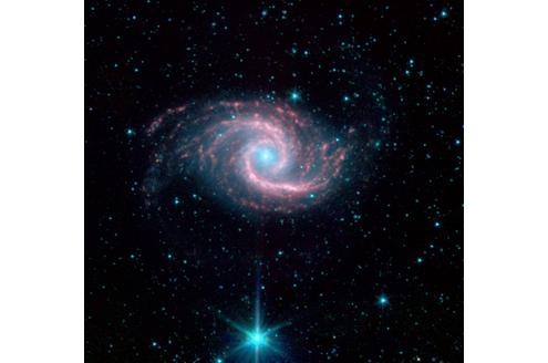 Die hell leuchtende Galaxie NGC 1566 befindet sich etwa 60 Millionen Lichtjahre von der Erde entfernt.
Bild: Nasa