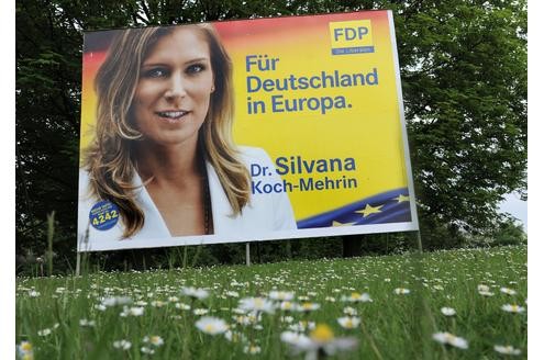 Bei der Europawahl 2009 war Koch-Mehrin wieder Spitzenkandidatin der FDP und fuhr mit 11 Prozent der Stimmen ihr bislang bestes Ergebnis ein.