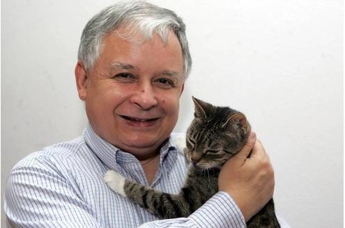 Der vor wenigen Tagen bei einem Flugzeugabsturz ums Leben gekommene polnische Präsident Leck Kaczynski hielt sich eine Katze.