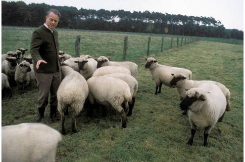 Niedersachsens ehemaliger Ministerpräsident Ernst Albrecht inmitten seiner Schafherde. Auch seine Tochter, Arbeitsministerin Ursula von der Leyen, hält mit ihrer Familie mehrere Tiere, darunter Pferde, Ziegen und einen Hund. 