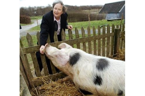 Medienwirksame Tierliebe: Die ehemalige NRW-Umweltministerin Bärbel Höhn (Grüne) füttert ein Schwein.