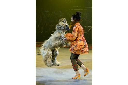 Lass uns das Tanzbein schwingen! Schauspielerin Barbara Wussow mit einem Afghanen-Hund während der ARD-Fernsehshow Stars in der Manege im Circus Krone in München.