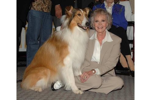US-Schauspielerin June Lockhart mit Filmhund Lassie. In der gleichnamigen Serie spielte sie in über 200 Folgen die Mutter von Hauptdarsteller Timmy.