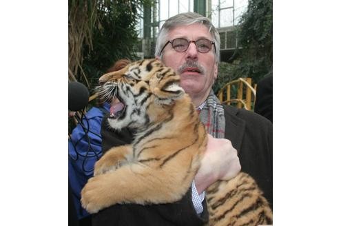 Brüllen können sie beide: Thilo Sarrazin, Ex-Finanzsenator von Berlin, Mitglied des Bundesbankvorstandes und bekannt für markige Sprüche kuschelt mit einem Tigerbaby.