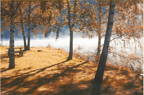 Der Herbst am See. Foto: alces