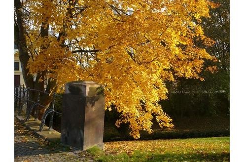 Herbst in der Community. Foto: davida 
