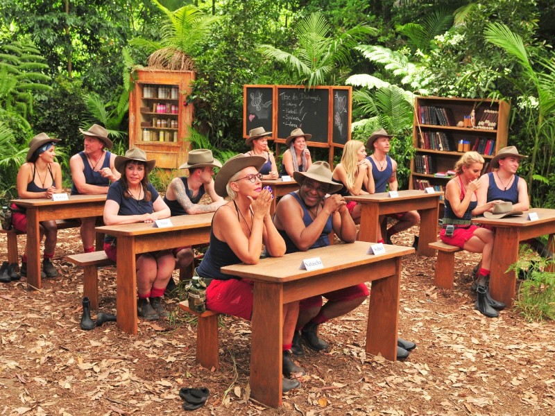 Was lernen die Camper wohl in der „Dschungelschule?