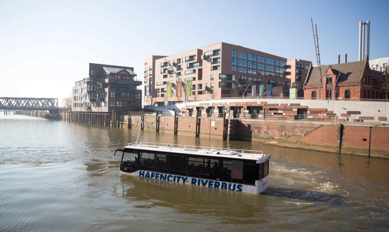 Ein Amphibienbus schwimmt im Wasser durch die Hafencity in Hamburg.