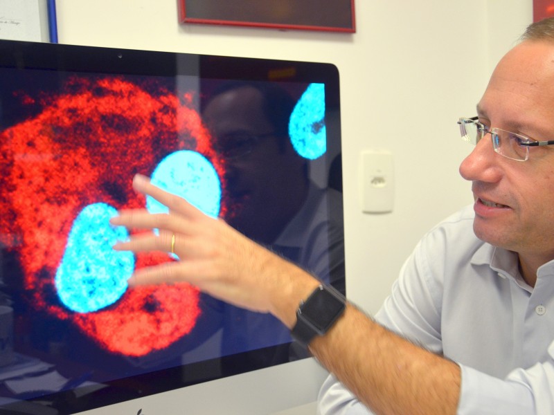 29. April 2015: Forscher einer Universität in Salvador stellen das Virus erstmals in Brasilien fest.