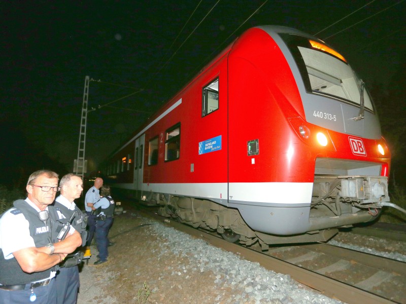 Als der Zug per Notbremse stoppte, sprang der Täter aus dem Zug und flüchtete. Ein Spezialeinsatzkommando der Polizei, das zufällig in der Nähe war, nahm die Verfolgung auf. 