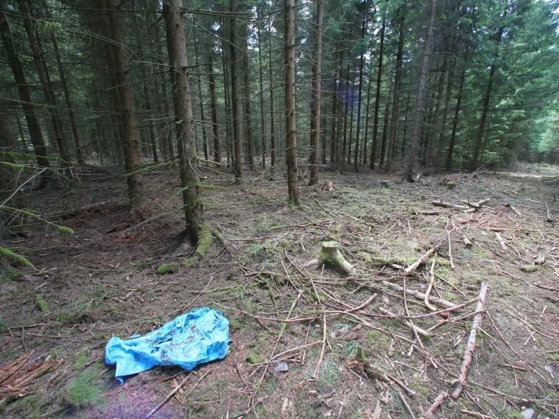 Das Waldstück im Saale-Orla-Kreis bei Rodacherbrunn (Thüringen), in dem die Skelettteile gefunden wurden. 