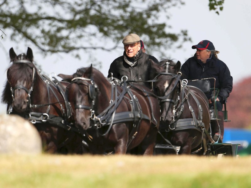 Ein Abenteurer mit vielen Hobbys. So gehört auch das Pferdekutschenrennen zu Philips Leidenschaften. Im Mai 2017 ließ es sich der rüstige Prinz nicht nehmen, selbst die Zügel in die Hand zu nehmen und zur Royal Windsor Horse Show zu fahren.