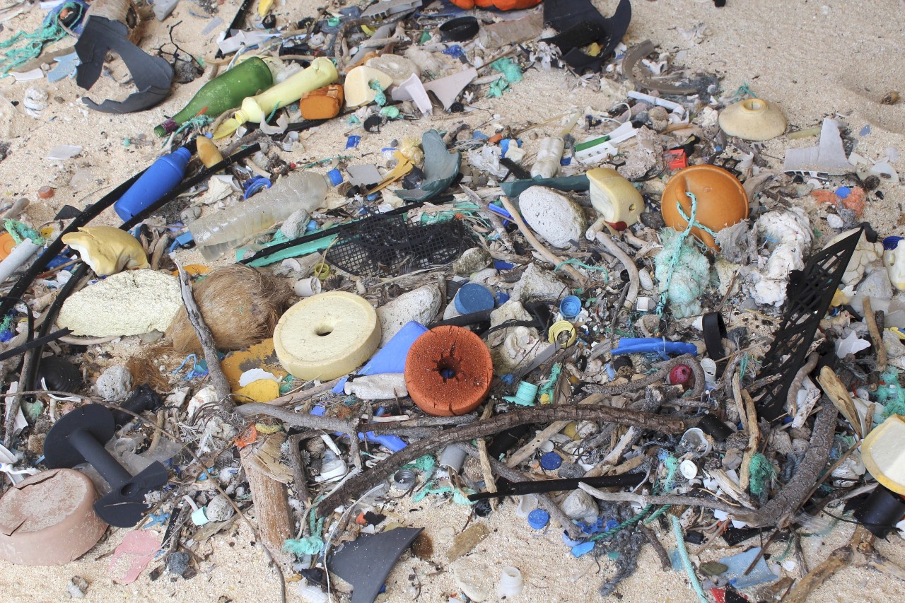 Rund 38 Millionen Kunststoffteile sollen sich auf Henderson Island befinden.