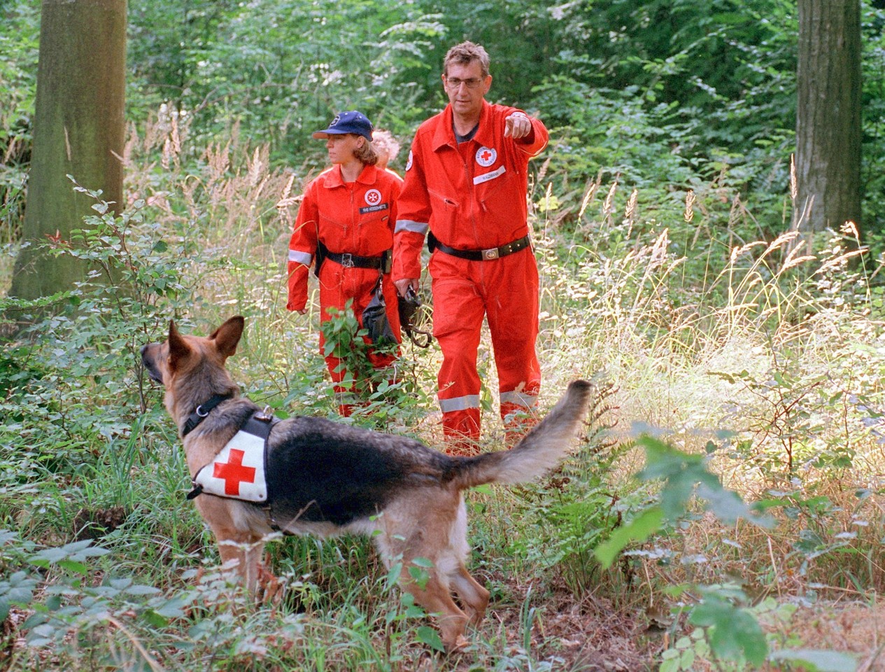 Ein Teil einer Rettungshundestaffel aus Gießen im Jahr 1999 bei der Suche nach Johanna in einem Wald bei Ranstadt-Bogenhausen.