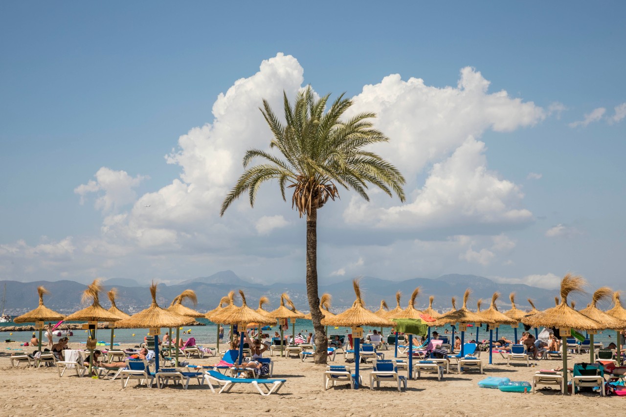Wie wird der Mallorca-Urlaub im Sommer 2022 aussehen? Ein Experte spricht jetzt Klartext. (Symbolbild)