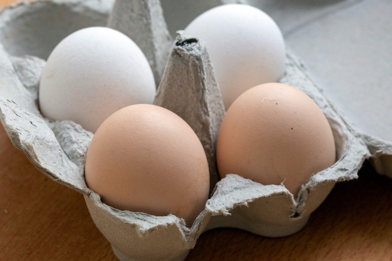 Die Preise für Eier könnten in den nächsten Wochen merkbar ansteigen. (Symbolbild) 
