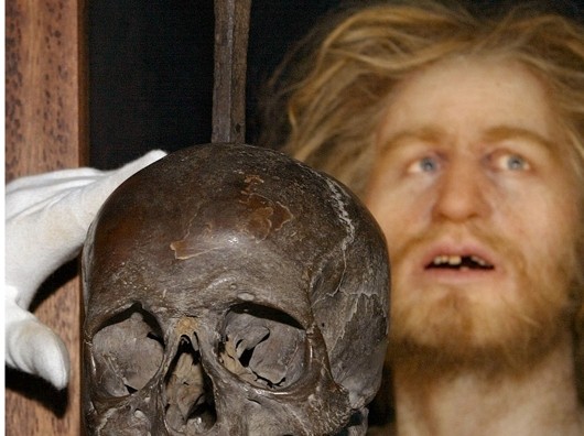 Rekonstruktion des Kopfes von Seeräuber Klaus Störtebeker anhand des Piratenschädels.