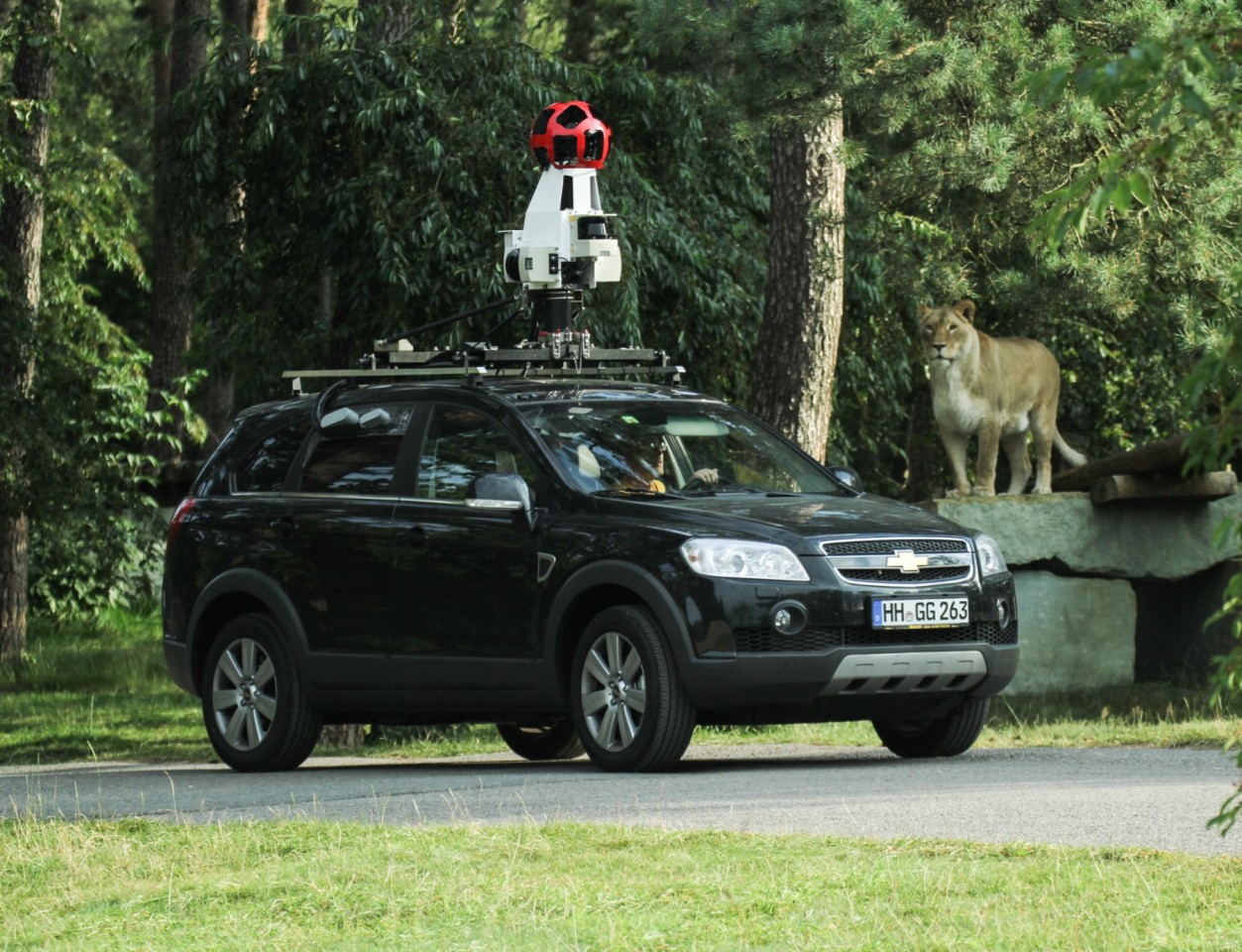 Unter strenger Beobachtung: Das Google-Fahrzeug bei seiner Tour durch das Raubtiergehege.