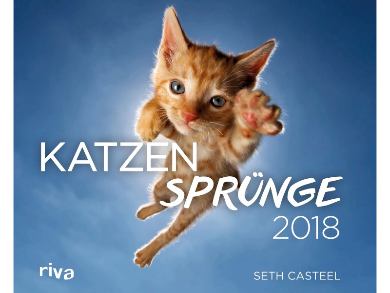 Der Wandkalender „Katzensprünge 2018“ ist im „riva“-Verlag erschienen („www.m-vg.de/riva“)