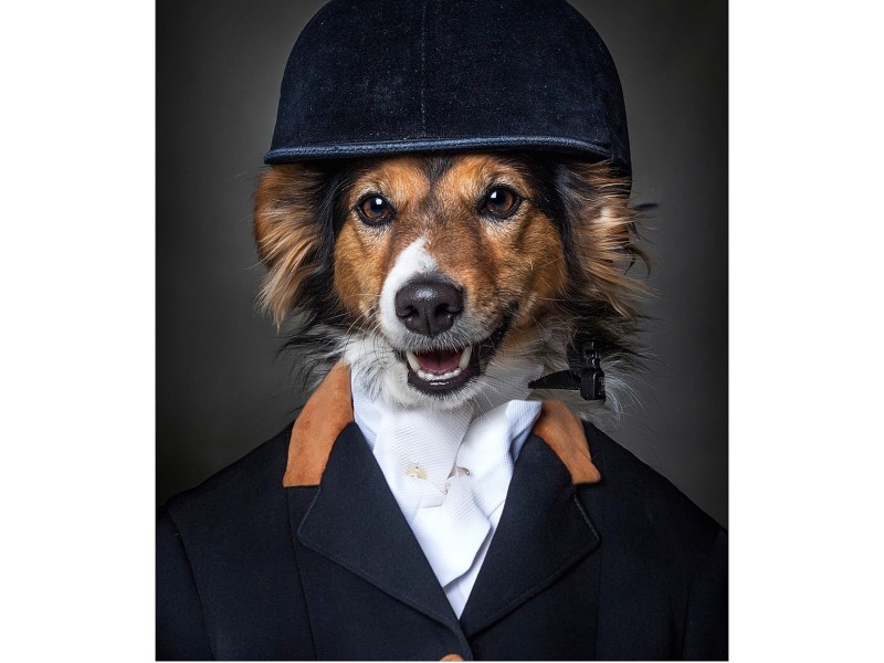 So erging es auch der jungen Fotografin Sandra Müller – und war die Grundlage für Dog People, in dem fotografisch die Frage beantwortet wird: „Was wäre dieser Hund für ein Mensch?“