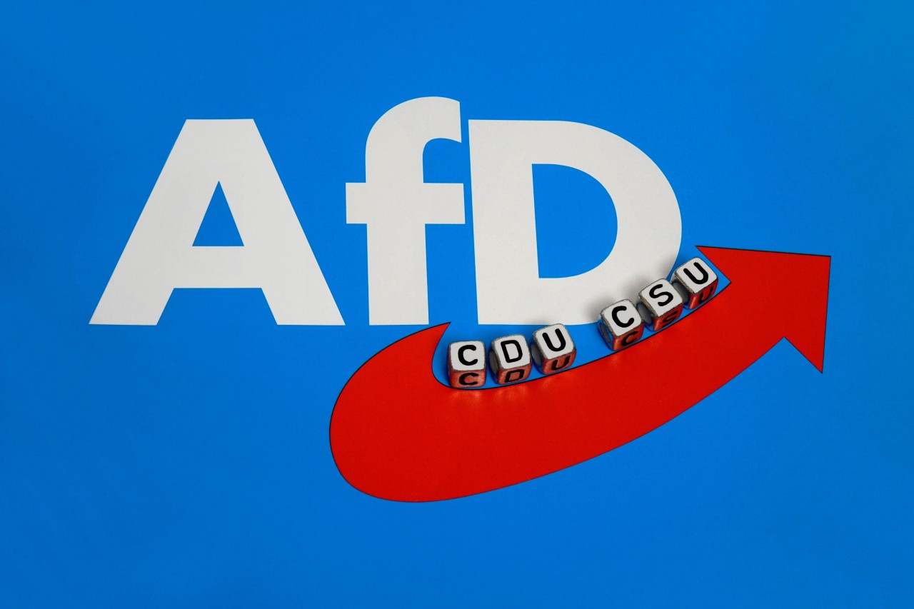 AfD: In einem Bundesland hat die Partei bei Umfragen die CDU überholt. (Symbolbild)